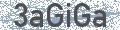 Security-Code